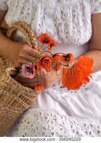 Woman In White Dress Holding Poppe Flowers, Close Up On Her Hands. Spring Time Dreams.