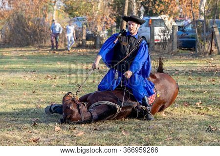 Hortobagy, Hungary, November, 04. 2018: Hungarian Csikos In Traditional Folk Costume Showing Off His