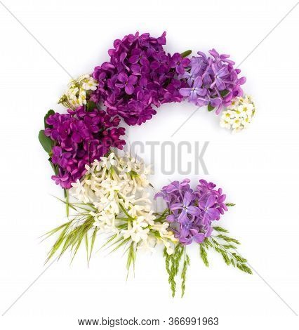 Tender Purple Violet Lilac Spring Flowers Isolated On White Background. Decoration Design Element Fo