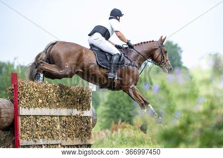 Eventing: Equestrian Rider Jumping Over An A Brance Fence Obstacle