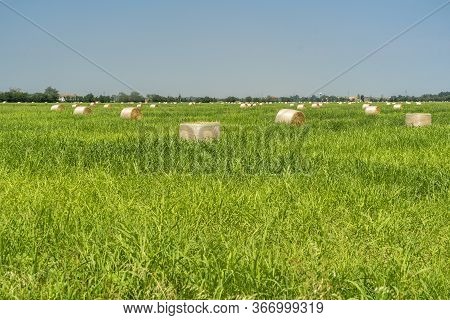 Rural Landscape Near Fiorenzuola, In Piacenza Province, Emilia-romagna, Italy, At Summer