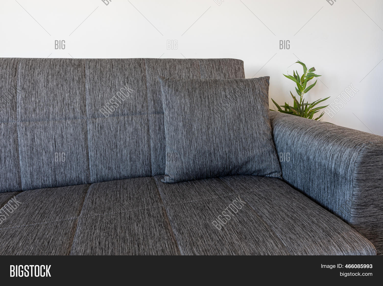 Interior Design Couch Image & Photo (Free Trial) | Bigstock