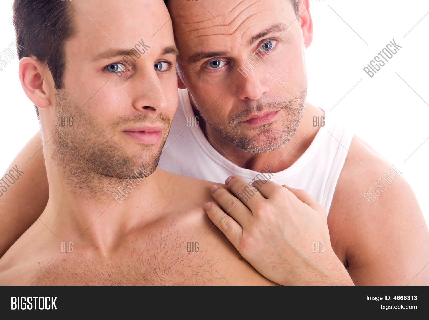 Homos Gratis Homos Gratis