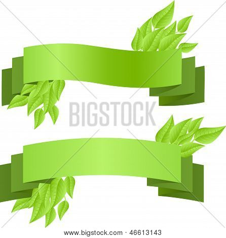 Nastro eco banner