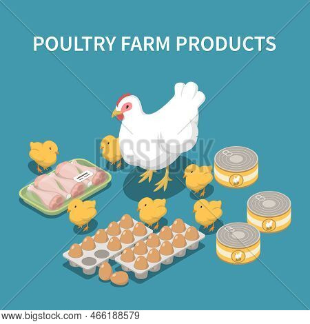 Poultry Farm Products Blue Background With Live Hen And Chicks Packaging Of Chicken Legs Tray Of Egg