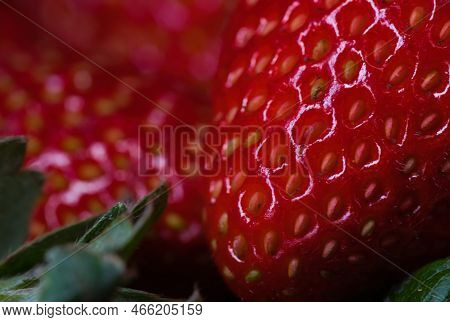 Fresh Red Strawberries Organic