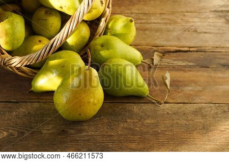 Pears On A Wooden Background. Fruit Harvest. Autumn Still Life. Pear Variety Bera Conference.