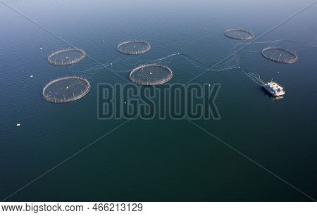 Fish Farm Salmon Round Nets In Natural Environment Loch Fyne Arygll And Bute Scotland