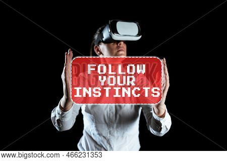 Hand Writing Sign Follow Your Instincts. Concept Meaning Listen To Your Intuition And Listen To Your