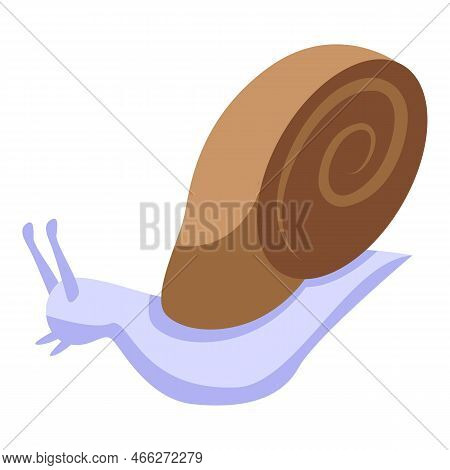 Snail Icon Isometric Vector. Slow Slug. Cute Snail