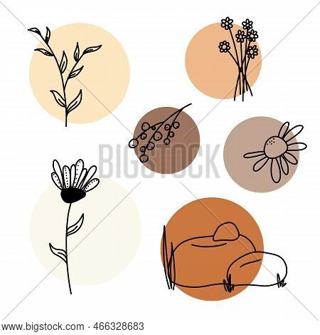 Silhouette Of Herbs And Flowers. A Set Of Flowers