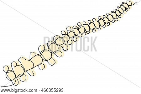 Spine In One Line With A Colored Silhouette On A White Isolate. The Concept Of Back Pain And Bone An