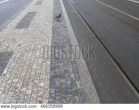 Tram Line Railway On A Street