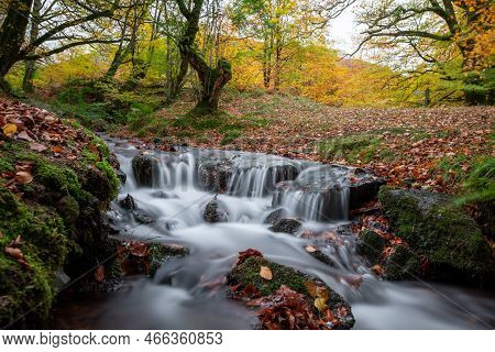 Robbers Bridge In Exmoor National Park