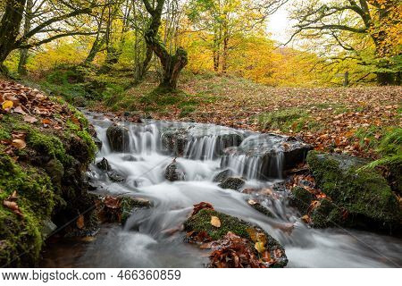 Robbers Bridge In Exmoor National Park