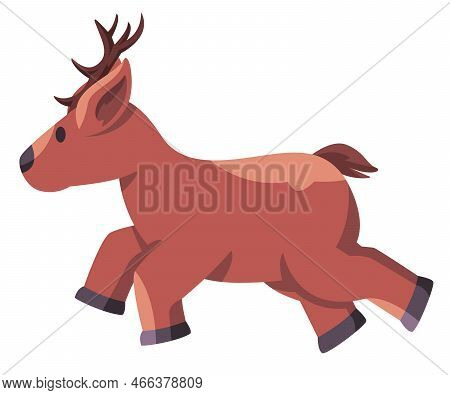 Running Deer Cute Adorable Small Elk With Horn Brown Skin Friendly Funny Baby Reindeer