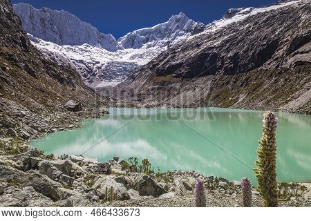 Llaca Lake In Cordillera Blanca With Snowcapped Andes, Ancash, Peru