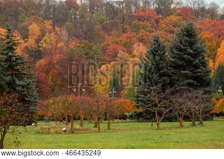 Autumn Park Alley And Colorful Trees On An Autumn Day Without People. A Cozy Parks Road And Path Sur
