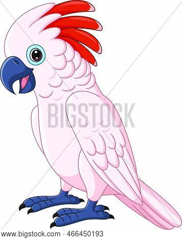Vector Illustration Of Cartoon Moluccan Cockatoo Parrot On White Background