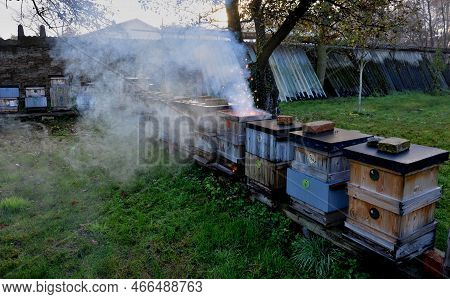 Detail Of A Burning Beehive In An Apiary. Vandalism, Accident Or Chemical Treatment And Disinfection