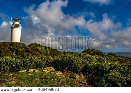 A Stunning Coastal Walk Starting At Tauranga Bay (westport Nz) Following The Cliff Edge, Past Rugged