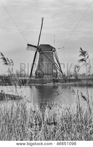 Dutch Windmill