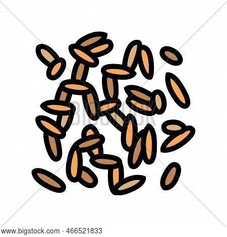 Oryza Grain Food Color Icon Vector. Oryza Grain Food Sign. Isolated Symbol Illustration