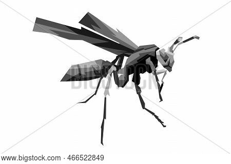 Design Illustration Of A Ferocious Black And White Wasp Wpap Pop Art Vector Style