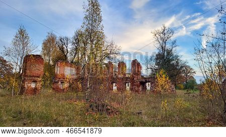 The Ruins Of An Ancient Manor In Autumn Time. The Castles Old Brick Walls With Yellow Trees Eleja Ma