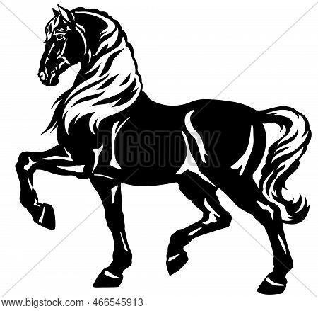 Walking Horse. Black Heavy Draft Stallion In The Profile. Silhouette. Side View Vector Illustration