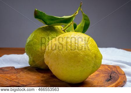 Lemon Citron Cedrate Or Citrus Medica, Large Fragrant Citrus Fruit With Thick Rind
