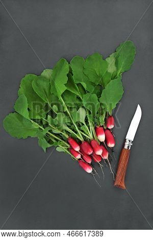 Freshly Picked Radish Salad Vegetables. Organic Sustainable Healthy Food And Immune System Boosting 
