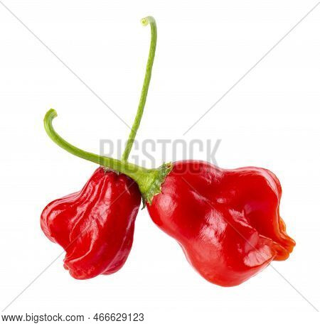 Ripe Red Chili Peppers Isolated On A White Background. Capsicum Baccatum Or Bishops Crown Pepper.