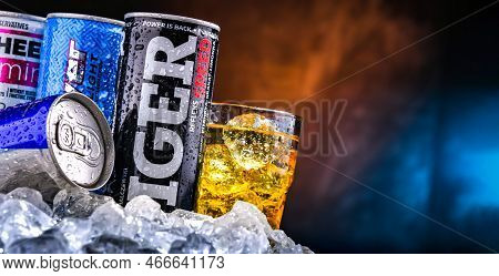 Cans Of Assorted Global Energy Drink Products