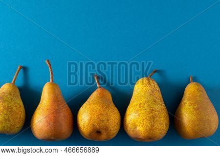 Yellow Pears On A Blue Background. Fruit Harvest. Autumn Still Life. Pear Variety Bera Conference. V