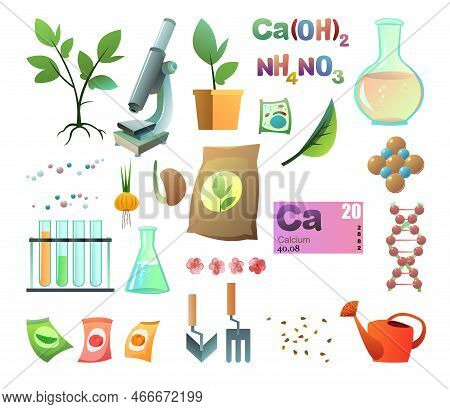 Set Chemistry And Natural Fertilizers Objects. Introduction Of Mineral And Organic Top Dressing To I