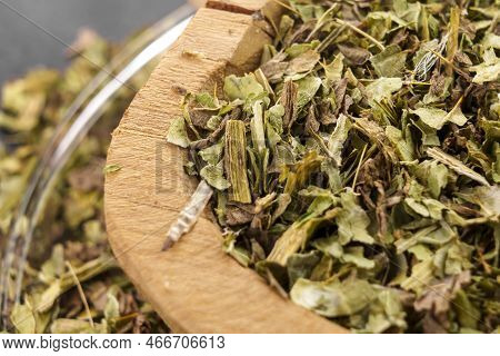 Dried Milk Thistle Leaves For Liver Health. Herbal Alternative Medicine Ingredient. Full Wooden Rust