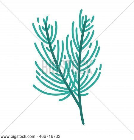 Christmas Tree Green Branch Vector Icon. Hand Drawn Illustration Isolated On White Background. A Twi