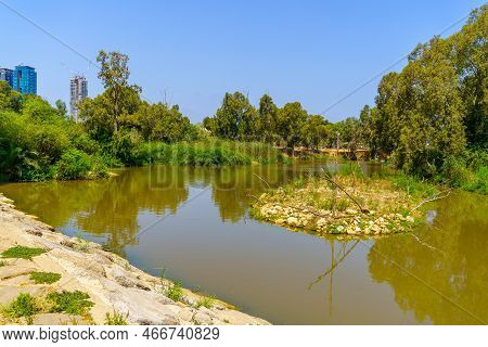 View Of The Yarkon River, And Trees, In The Yarkon Park, Tel-aviv, Israel