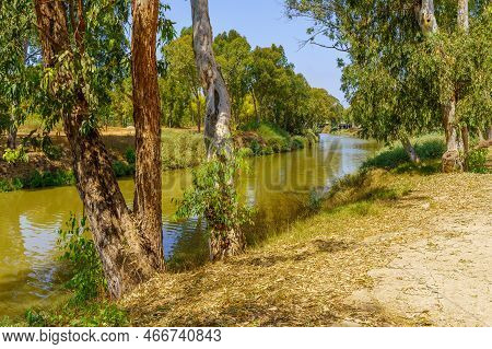 View Of The Yarkon River, And Trees, In The Yarkon Park, Tel-aviv, Israel