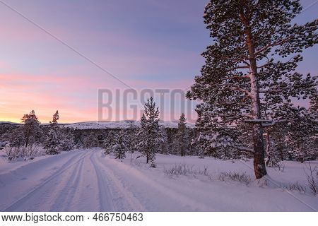 Sunset In The Snowy Forest
