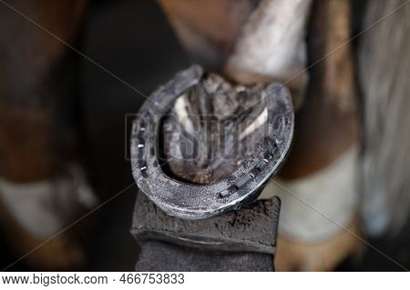 Work Of Horseshoe In Forge Of Horses Hoof Iron Horseshoe Close-up