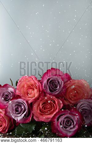 A Bunch Of Pink Roses Under The Falling Snow On A White Background. Copy Space. Place For Text.