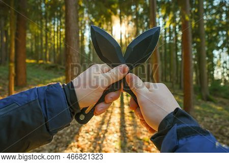 Metal Knives For Throwing In A Hands On A Fir Forest Background.outdoor Sports. Active Sports In The