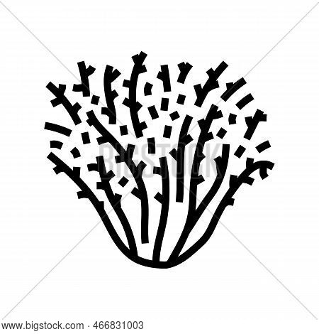 Frisee Salad Food Line Icon Vector. Frisee Salad Food Sign. Isolated Contour Symbol Black Illustrati