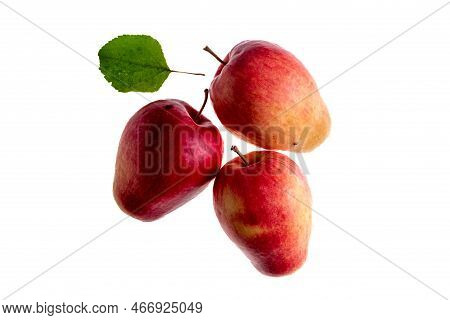 Three Apples Of The Kandil Sinap Variety On A White Background