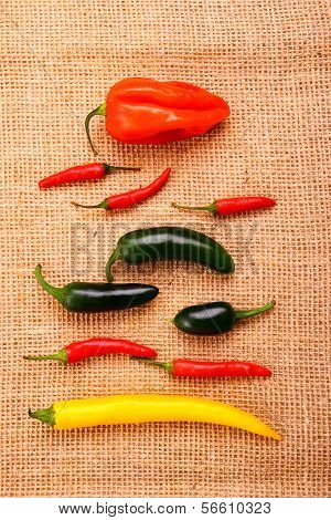 Hot Pepper Collection On Jute Background