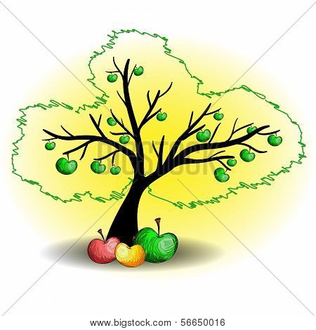 Sketch Apple Tree.