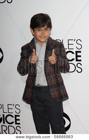 LOS ANGELES - JAN 8: Blake Garrett Rosenthal op de People's Choice Awards 2014 aankomsten op Nokia T