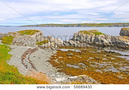 Coastal Rocks At Low Tide